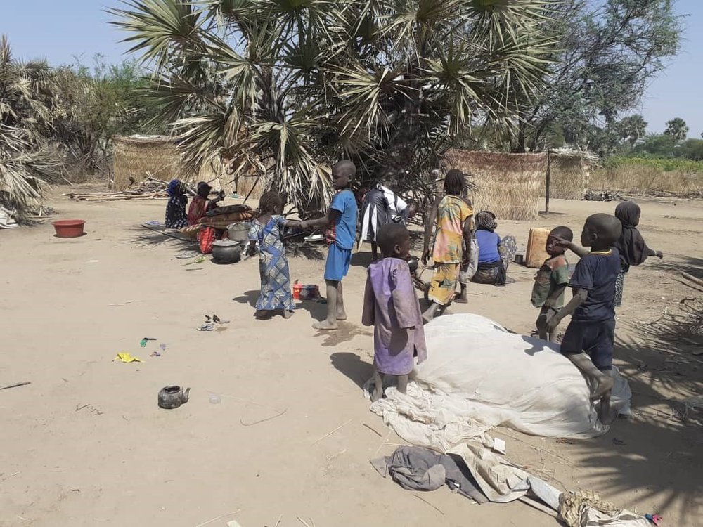 tsjaad vluchtelingen kameroen