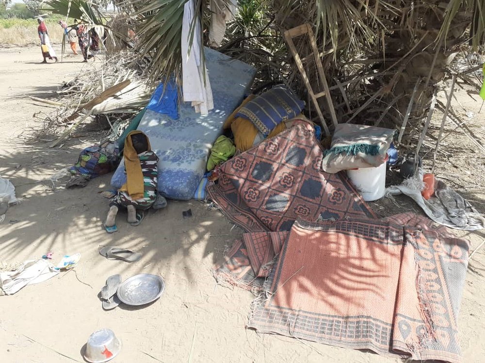 tsjaad vluchtelingen kameroen