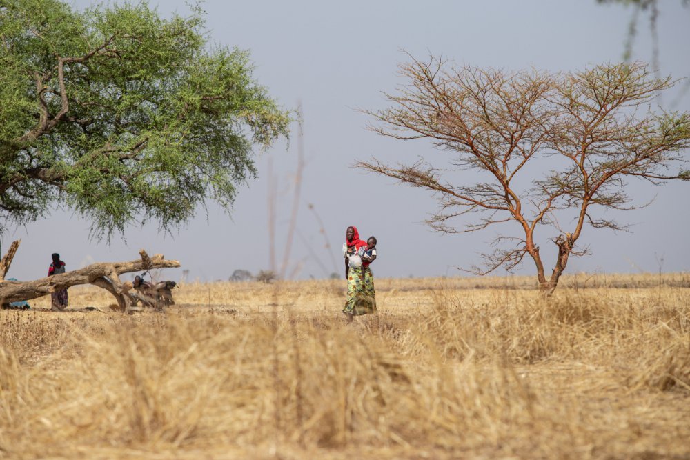 Mazelen vaccinatiecampagne Artsen zonder Grenzen in Tsjaad