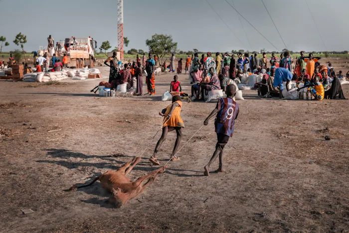Broers en zus Khol en Nyadeeni slepen het lichaam van hun dode kalf door een kamp in Bentiu